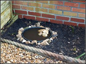 Micro Pond, Nature Club, Wildlife Pond, Toad House, Landscaping Projects, Small Water Features, Insect Hotel, Pond Ideas, Native Plant Gardening