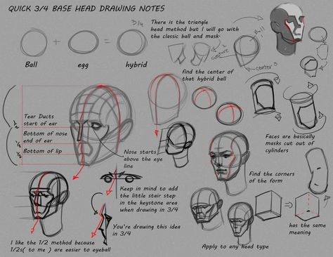 Simple 3/4 Head notes by FUNKYMONKEY1945 on DeviantArt Anime Training, Loomis Method, Head Reference, Head Anatomy, Facial Anatomy, Skeleton Anatomy, Artist Tutorials, Bryan Lee, Portrait Study