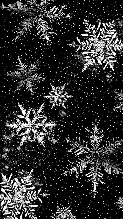 Alternative Christmas Wallpaper, Dark Yule Aesthetic Wallpaper, Goth Winter Wallpaper, Christmas Goth Wallpaper, Yule Background, Gothic Christmas Wallpaper, Black And White Christmas Wallpaper, Black Winter Wallpaper, Spooky Christmas Wallpaper