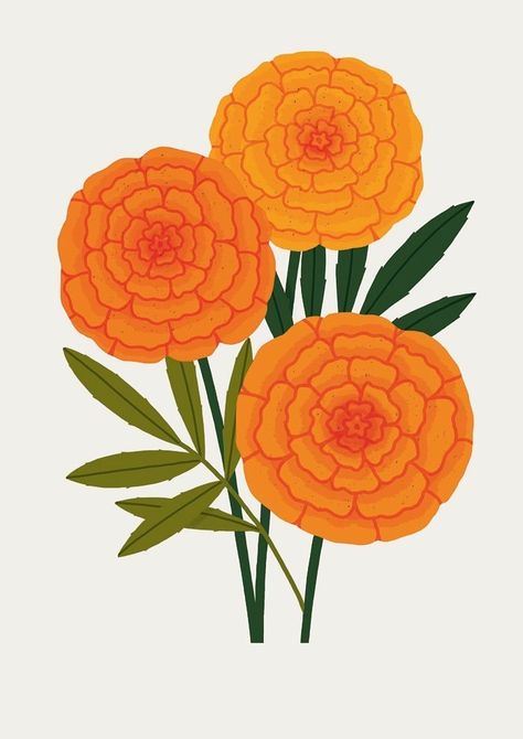 Marigold Print, Mughal Art Paintings, Flower Inspiration, Plant Illustration, Botanical Wall Art, Flower Illustration, Floral Illustrations, Fabric Painting, Flower Drawing