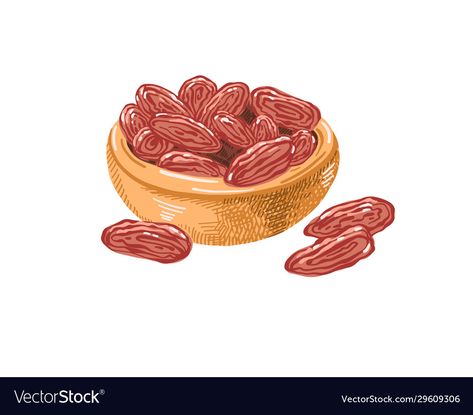 Date Sketch, Dates Tree, Fruit Sketch, Date Food, Ramadan Poster, Berbuka Puasa, Ramadan Images, Earth Tone Wall Art, Food Vector