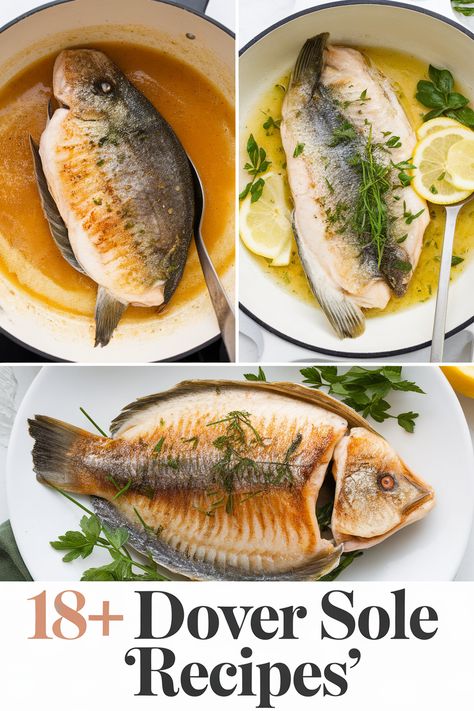 Savor the flavors of mouthwatering Dover sole with these amazing recipes! From buttery lemon garlic to crispy pan-fried delights each dish will make your taste buds sing. Perfect for seafood lovers and dinner parties these meals are simple yet elegant. Enjoy a delicious journey with fresh fish and zesty herbs! Dover Sole Recipes, Crunchy Stuffing, Butter Fish Recipe, Sole Recipes, Soy Ginger Sauce, Easy Asparagus Recipes, Dover Sole, Lemon Caper Sauce, Creamy Avocado Sauce