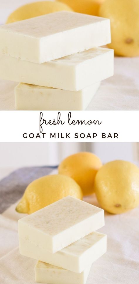 Melt And Pour Goats Milk Soap, Goat Milk Soap Scents, Donkey Milk Soap Benefits, Goat Milk Soap Recipe Without Lye, Goats Milk Shampoo Bar Recipe, Melt And Pour Goats Milk Soap Recipe, Uses For Goat Milk, Goat Soap Recipe Homemade, Goat Milk Shampoo Bar Recipe