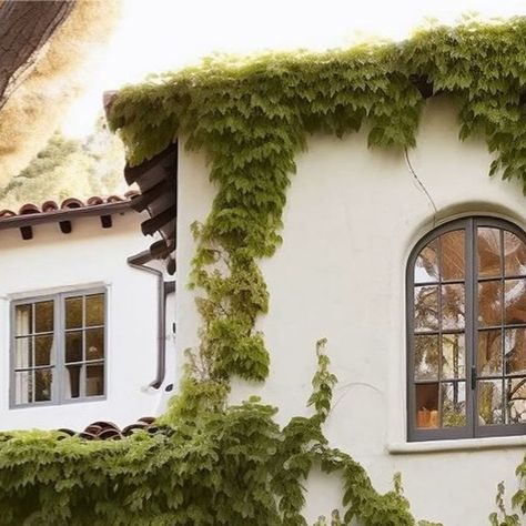 Janice Burkhart on Instagram: "All your favorite details in a modern Spanish home. Arches, large windows and little cute moments everywhere. Xo JB

Design and AI  @gildedhearth
•

.
.
.
.
#modernspanish #archdigest #wearevivir #elledecor #theexpert #homesandgardens #housebeautiful" Spanish Home Windows, Arched Window Exterior, Spanish Style Windows, Home Arches, Spanish Windows, Pasadena Homes, Spanish Style Doors, Spanish Revival Kitchen, Modern Spanish Style Homes