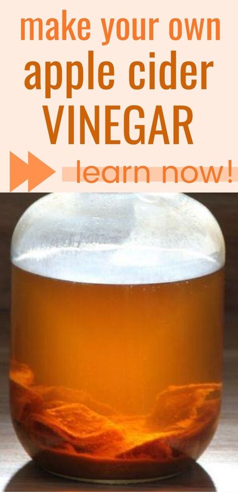 Learn to Make Apple Cider Vinegar (from scratch) • a traditional life Apple Cider Vinegar Diy, Homemade Apple Cider Vinegar, Make Apple Cider, Making Apple Cider, Make Apple Cider Vinegar, Apple Cider Vinegar Recipes, Emotional Eater, Homemade Apple Cider, Apple Cider Vinegar Drink