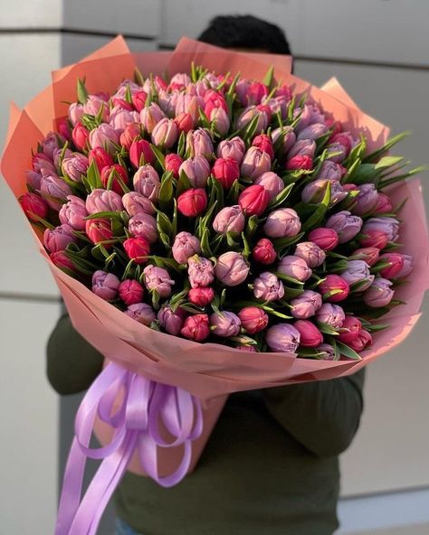 Tulip Flower Pictures, Tulips Bouquet, Luxury Flower Bouquets, Money Flowers, Very Beautiful Flowers, Boquette Flowers, Tulip Bouquet, Bouquet Gift, Flowers Bouquet Gift