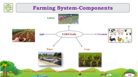 Integrated Farming System PDF Integrated Farming, Mixed Farming Images, Pamphlet On Organic Farming, Integrated Pest Management Agriculture, Farming System, Farming Machinery Agriculture, Improve Nutrition, Life Hacks Websites, System Model