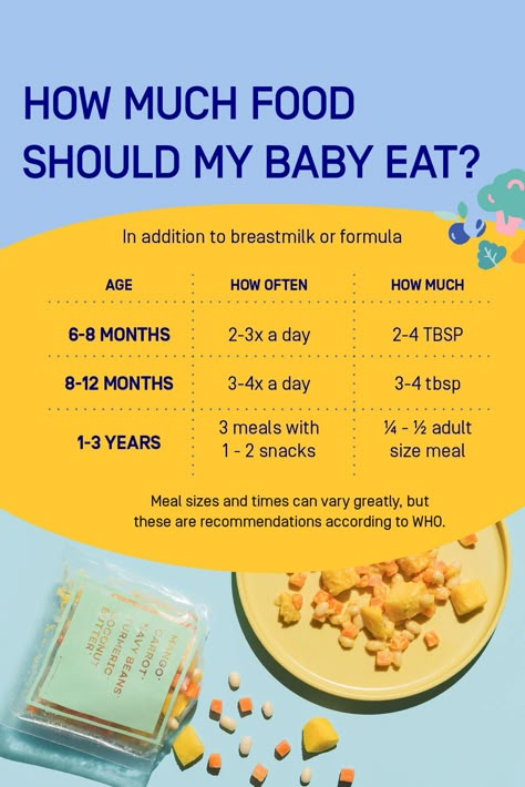 The two greatest questions when introducing solids: 1. how much food should my baby eat? 2. how often should my baby eat? The simple answer: it depends on your baby. However, there are guidelines on the recommended ranges for how much your baby should eat depending on their age. Baby Solid Food Schedule, Introducing Solids To Baby, Baby Food Timeline, Introducing Baby Food, Meals For Babies, Baby Meal Plan, Baby Food Guide, Baby Solids, Baby Food Schedule