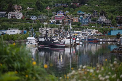 Things To Do In Kodiak Alaska, Alaska Town Aesthetic, Kodiak Island Alaska, Girdwood Alaska Winter, Kodiak Alaska, Whitehorse Yukon, Kodiak Island, Anchorage Alaska Photography, Moving To Alaska