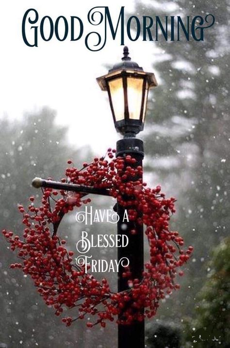 December Quotes, Blessed Friday, Its Friday Quotes, Good Afternoon, A Blessing, Morning Quotes, Good Morning Quotes, Happy Day, Christmas Humor