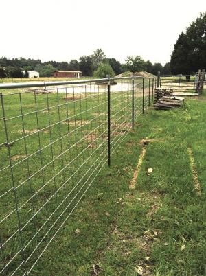 FARM SHOW Magazine: 2012 -  Volume 36 Issue 2 Page 3 T Post Dog Fence, Cheapest Way To Build A Fence, Diy Cheap Fence, Cheapest Fence Ideas, T Post Fence, Terrell Texas, Diy Dog Fence, Shop Hacks, Farming Tractors