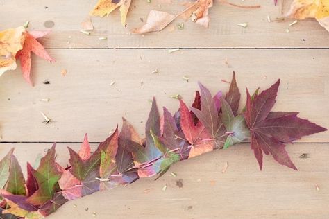 How to make a fall leaf crown with the kids for free Maple Leaf Crown, Fall Leaf Crown, Diy Leaf Crown, Nature Crown Diy, Leaf Crown Diy, Leave Crown, Fall Crown, Cozy Fall Drinks, Crown Of Leaves