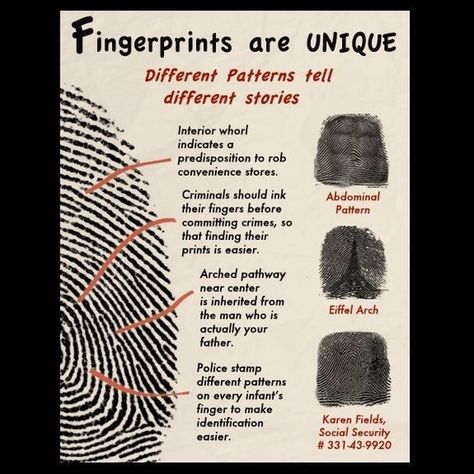 Types Of Fingerprints, Forensic Anthropology, Detective Aesthetic, Forensic Psychology, Forensic Scientist, Forensic Science, Science Fair Projects, Medical Knowledge, Learning Science