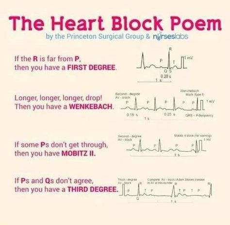 Heart Block song! Physician Assistant Student, Ekg Interpretation, Paramedic School, Nursing Cheat, Nursing Mnemonics, Pa School, Heart Blocks, Nursing School Survival, Nursing School Studying