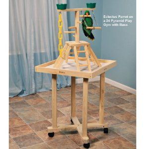 bird stand Parrot Playground, Bird Room Ideas, Parrot Ideas, Bird Play Gym, Parrot Play Stand, Diy Parrot Toys, Diy Parrot, Best Pet Birds, Birds Diy