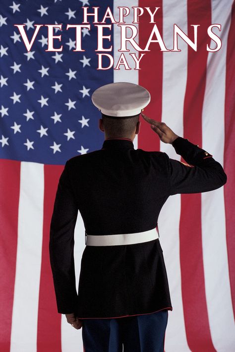 Happy Veterans Day! We Salute You! Don Delillo, Praying For Our Country, Independance Day, Marine Mom, I Love America, Support Our Troops, Chiropractic Care, A Soldier, Us Marines