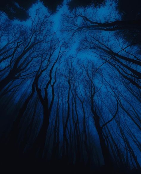 Void Core Aesthetic, Blue Horror Aesthetic, Liminal Aesthetic, Type Of Aesthetics, Artstyle Ideas, Jack Evans, Dark Core, Poison Tree, The Woman In Black