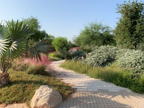 The environment can be hard on gardens in the Middle East. So we asked experts on how to get maximum results for minimum effort Oasis Landscape Design, Dubai Townhouse, Garden Watering Schedule, Dubai Landscape, Tropical Planting, London Parks, Native Plant Landscape, Dubai Garden, The Peripheral