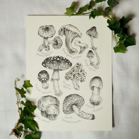 autumn in green cozy cottagecore aesthetic Dark Academia Tattoo, Academia Tattoo, Cat Dreaming, Fungi Art, Cozy Cottagecore, Cottagecore Art, Long Shot, My Drawings, Nature Drawing