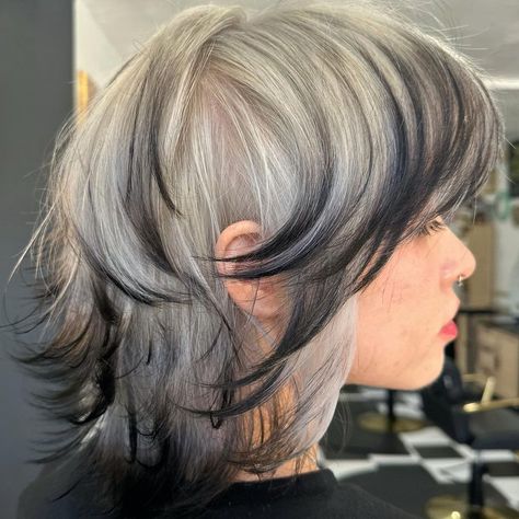 Platinum Silver Hair Color, Silver Ash Hair, Dark Silver Hair, Silver Hair Shampoo, Silver Hair Color Ideas, Silver Blue Hair, Silver Ombre Hair, Blue Grey Hair, Ashy Hair