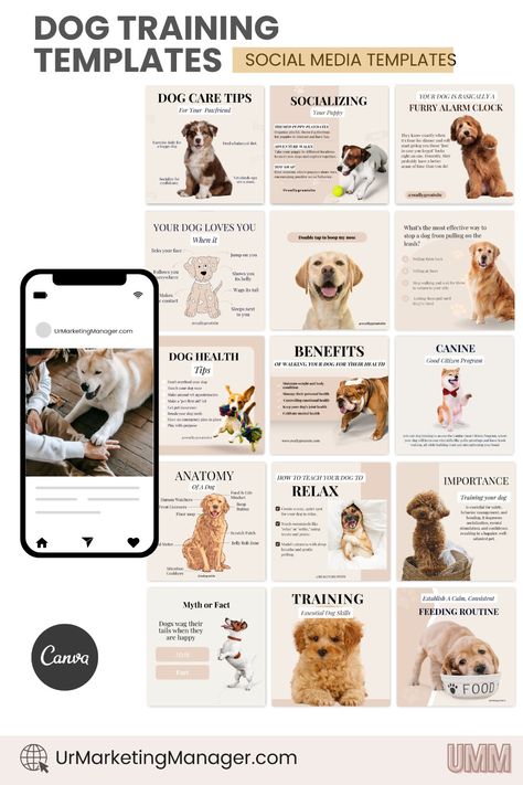 Our templates are the perfect solution for dog trainers and agencies looking to showcase their expertise and grow their business. With ready-to-post content, you'll save time and keep your feed looking professional and consistent.