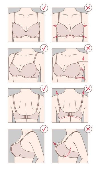 bra fitting techniques Mckenzie Exercises, Bra Guide, Types Of Bras, Bra Size Chart, Human Anatomy Female, Bra Patterns, Breast Sizes Chart, Bra Organization, Bra Sewing Pattern