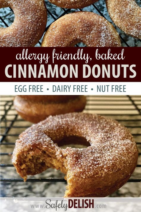 Egg Free Donuts, Dairy Free Donuts, Nut Free Desserts, Allergy Friendly Desserts, Egg Free Breakfast, Healthy Donuts, Cinnamon Donuts, Nut Free Recipes, Egg Free Recipes