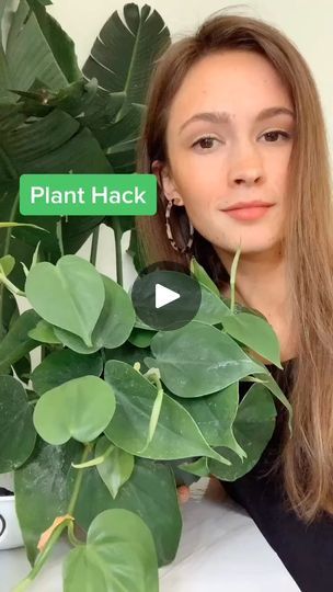 Plant Hacks Videos, Soil Mixture, Plant Walls, Plant Hacks, Plant Growing, Living Off The Land, Flower Gardening, Plants Indoor, Indoor Gardening