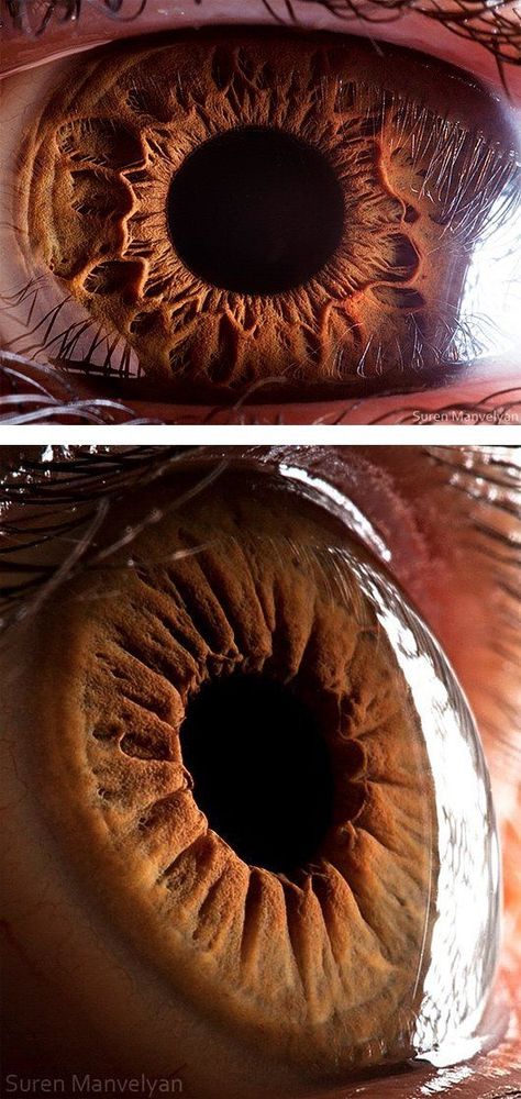 Eye Photo Reference, Photo Series Ideas, All Eye Colors, Foto Macro, Eyes Photo, Creepy Eyes, Eye Close Up, Typography Photography, Human Eyes