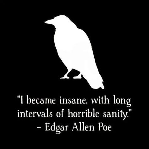 Author Edgar Allan Poe Edgar Allen Poe Outfit Women, Poe Aesthetic, Edgar Allen Poe Art, Edgar Allen Poe Poems, Edgar Allen Poe Quotes, Edgar Allan Poe Quote, Quotes Men, Poe Quotes, Twisted Quotes