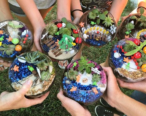 Succulent Fairy Garden, Fairy Garden Birthday Party, Fairy Garden Kit, Plant Party, Fairy Garden Party, Fairy Garden Designs, Fairy Garden Crafts, Garden Party Birthday, Garden Kit