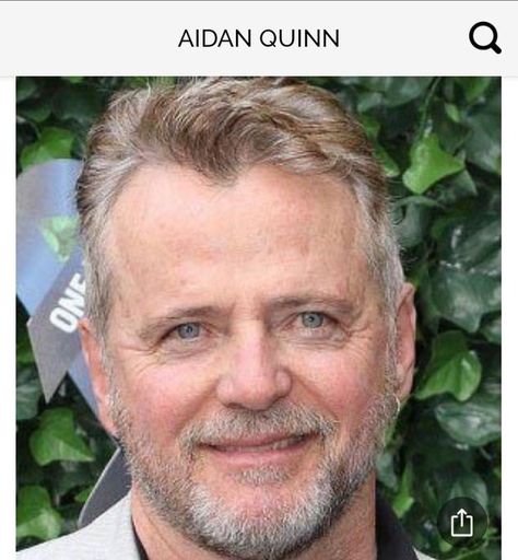 Aidan Quinn Obsessed (@AidanObsessed) / Twitter Cbs Elementary, Benny And Joon, Top 10 Actors, Aidan Quinn, Legends Of The Fall, Michael Collins, Hair Color Light Brown, How Many Kids, Emmy Award