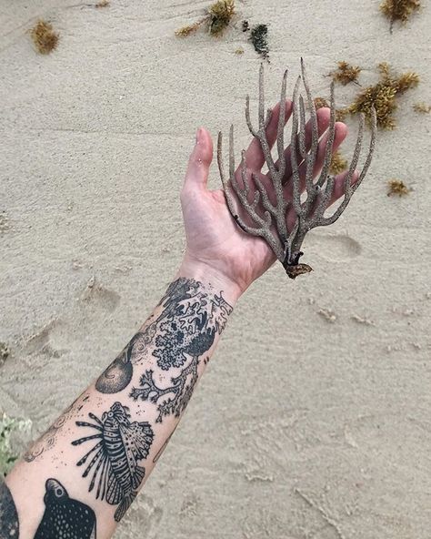 Sunfish, whale shark, manatee with mercury and constellations. Thanks Phyllis for traveling from Hong Kong! ☀️🐡🦈 Done @tenderfootstudio Ocean Cuff Tattoo, Pony Reinhardt, Coral Tattoo, Ocean Sleeve, Spotted Eagle Ray, Ray Tattoo, Cuff Tattoo, Eagle Ray, Ocean Tattoos