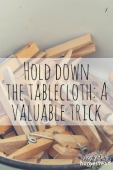 Diy Tablecloth Weights, Tablecloth Weights Diy, Diy Picnic Table, Diy Tablecloth, Paper Tablecloth, Market Table, Diy Outdoor Table, Wedding Tablecloths, Outdoor Tablecloth