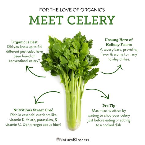 Meet, celery 👋 Rich in essential nutrients and the unsung hero of holiday feasts, these fibrous stalks add some serious flavor to our favorite savory dishes. Click through to learn more about celery and the benefits of choosing organic. #NaturalGrocers #celeryrecipes #celeryjuice #organic #nutrientdensefood #nutritiontips Celery Health Benefits, Organic Food Benefits, Benefits Of Celery Juice, Benefits Of Celery, Celery Leaves, Celery Juice Benefits, Celery Recipes, Natural Grocers, Vegetable Benefits