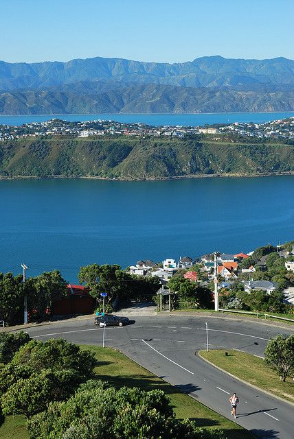 A beautiful view from Mount Victoria Lookout, Wellington, New Zealand. New Zealand Landscape, New Zealand Houses, Wellington New Zealand, Fairy Queen, The Windy City, New Zealand Travel, Palau, Bougainvillea, Tonga