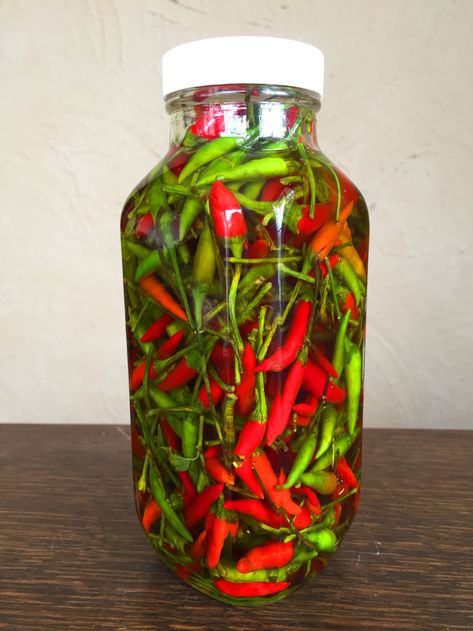 Thai Birds Eye Chili Recipes, What To Do With Thai Chilis, Birds Eye Chili Recipe, Thai Chile Pepper Recipes, Pickled Thai Chili Peppers, Chili Pepper Hot Sauce Recipe, Infused Oil Recipes, Thai Bird Chili, Chili Pepper Sauce