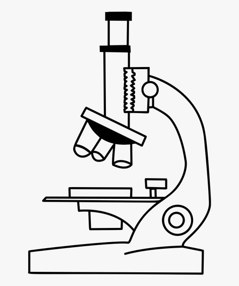 Microscope Drawing, Slide Drawing, Science Drawing, Easy Pictures To Draw, Lab Logo, Microscopic Images, Pumpkin Coloring Pages, Line Art Vector, Microscopes