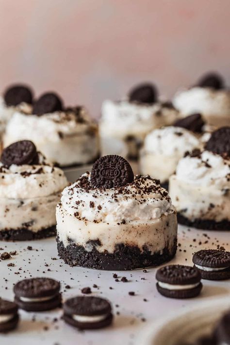 These mini Oreo cheesecakes are chocolatey, creamy, easy to make! Bake them for holidays, parties, and get togethers. Mini Brownie Cheesecake, Oreo Cheesecake Mini, Frozen Pudding, Mini Cheesecake Pan, Mini Oreo Cheesecake, Oreo Cheesecake Recipes, Oreo Thins, Mini Chocolate Chip Cookies, Cheesecake Recipes Classic