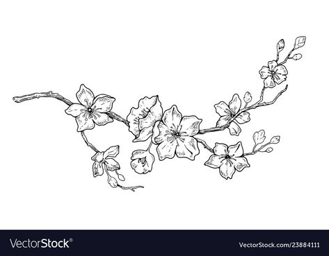 Flower Branch Drawing, Almond Tree Tattoo, Cherry Blossom Branch Tattoo Design, Japanese Cherry Blossom Tattoo Black And White, Black And White Cherry Blossom Tattoo, Apple Blossom Drawing, Cherry Blossom Branch Tattoo, Cherry Blossom Line Drawing, Peach Blossom Tattoo Black And White