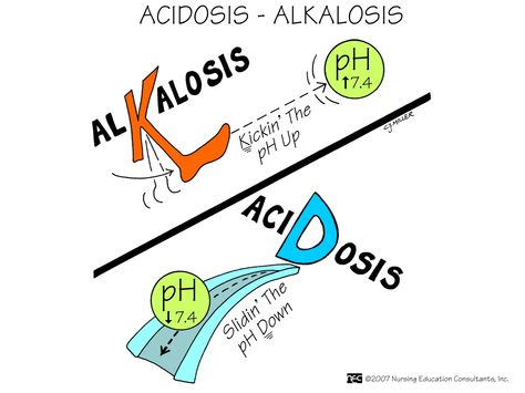 Acidosis  Alkalosis What’s the difference between Acidosis and Alkalosis? In Alkalosis the pH is high, while in Acidosis the pH is low. Acidosis And Alkalosis, Nursing Mnemonics, Pharmacy School, Nursing School Survival, Nurse Rock, Nursing School Studying, Nursing School Tips, Nursing School Notes, Nursing Tips