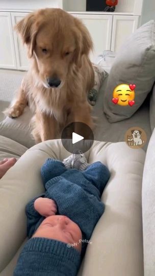 2.7K reactions · 232 shares |  | Kawther_kawther | adam.elea1 · Side By Side - Forever You And I - @Adam.Elea Baby Animal Videos, Our Song, Cute Funny Babies, Bull Terriers, Dogs And Kids, Cute Funny Dogs, Funny Dog Videos, August 8