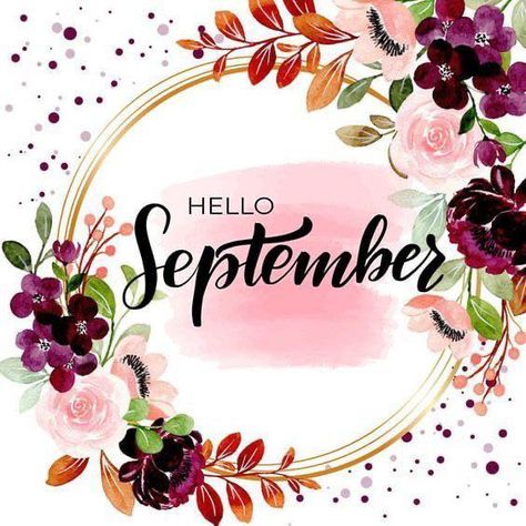 🍁 Welcome September 🍁 I know I am ready for the Season change! Don’t forget, we will be OPEN today! #shop #elreno #locallyowned #oklahoma #boutique #momboss #Labor #Day #laborday #labordayweekend #open #september