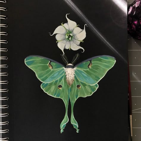 #lunamoth #gouache #moonflower Moon Flower Painting, Moonflower Illustration, Moonflower Tattoo Design, Trippy Flower Tattoo, Moonflower Drawing, Moonflower Aesthetic, Moon Flower Aesthetic, Moon Flower Drawing, Moon Flower Art