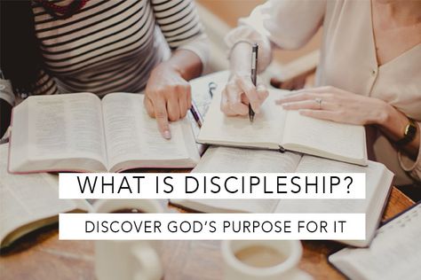 What Is Discipleship? - LifeWay Women All Access Discipleship Group, Making Disciples, The Great Commission, Pastor's Wife, Great Commission, Pastors Wife, Bible Study Tips, Ministry Ideas, Womens Bible Study