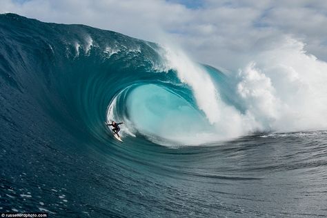 A monster storm has brought abnormally high tide to the coast of Western Australia, with surfers riding waves of up to seven metres high Beachfront House, Black Tree, The Fourth Of July, High Tide, Balboa, Love Pictures, Western Australia, Ocean Waves, The East