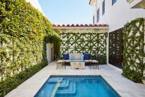 Small Plunge Pools and Cocktail Pools | HGTV Cocktail Pool Ideas, Cocktail Pool, Hidden Pool, Soho Beach House, Types Of Concrete, Pool Picture, Outdoor Living Rooms, Miami Houses, Outdoor Living Design