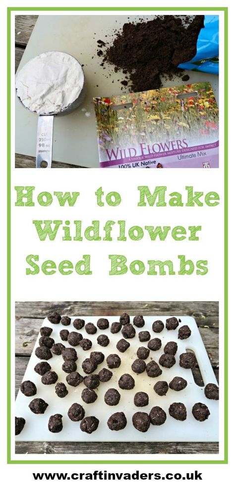 We make Wildflower seed bombs using household flour, seed compost and native wildflower seeds. They are perfect for brightening up an unloved corner of your neighbourhood. Aesthetic Origami, Vetenskapliga Experiment, Craft Ideas For Beginners, Seed Craft, Seed Balls, Flowers Simple, Garden Garage, Paper Craft Ideas, Flower Bomb