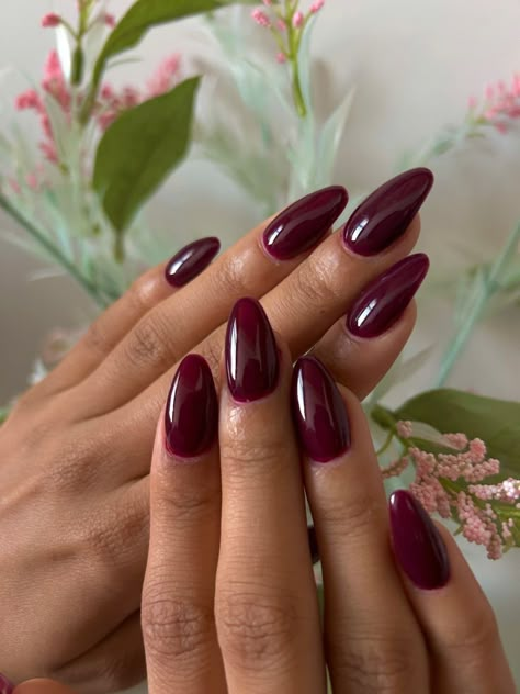 Plum Red Nails, Cherry Almond Nails, Plum Nails, Nagel Tips, October Nails, Cherry Almond, Casual Nails, Burgundy Nails, Funky Nails