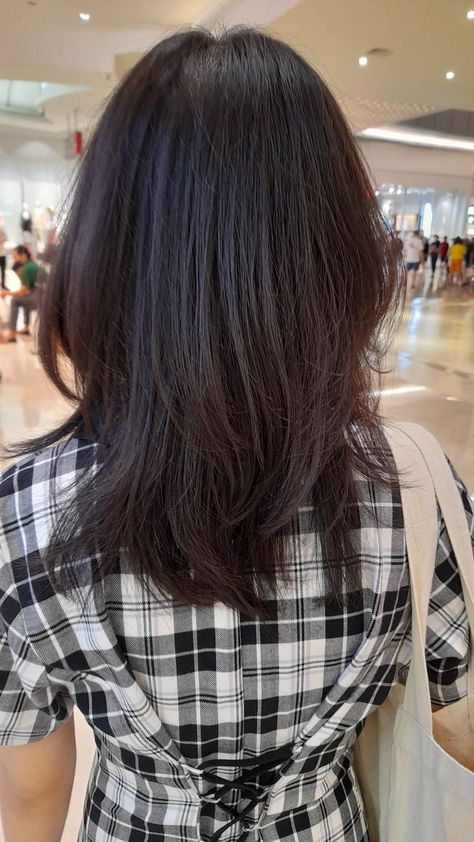 #wolfcut #shortwolfcut #hairstyles #haircut #2023 #2023trendyhairstyles Wolfcut Back View, Rebonded Hair, Haircut 2023, Just Video, Keratin, Hair Inspo, Short Hair Styles, Nail Designs, Hair Cuts